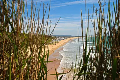 a view of a beach through the grass at Apartamento con piscina comunitaria in Conil de la Frontera