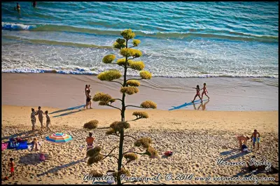 a group of people on a beach with the ocean at Apartamento Cala de Puntalejo in Conil de la Frontera