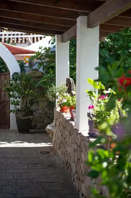 a patio with potted plants on a stone wall at Los años locos in Conil de la Frontera