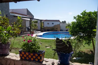 a backyard with a swimming pool and some plants at Los años locos in Conil de la Frontera