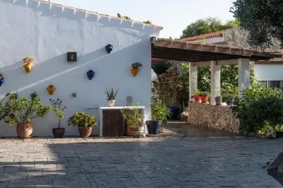 a white building with potted plants on it at Los años locos in Conil de la Frontera
