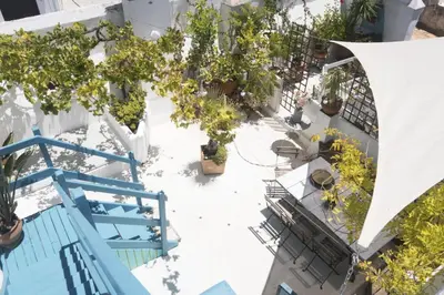 an overhead view of a patio with potted plants at amazing Penthouse Cadiz in Cádiz