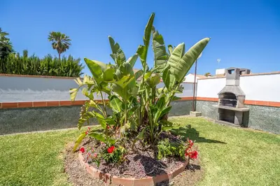a plant in a flower bed in a yard at Chalet Miriam I in Conil de la Frontera