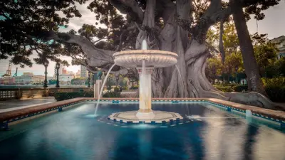 a fountain in the middle of a pool with a tree at Luz de Cádiz in Cádiz