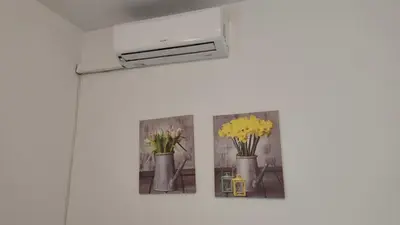 two pictures of flowers in vases on a wall at BNB LOLA - Habitacion con Baño privado en el pasillo y aire acondicionado in Puerto Real