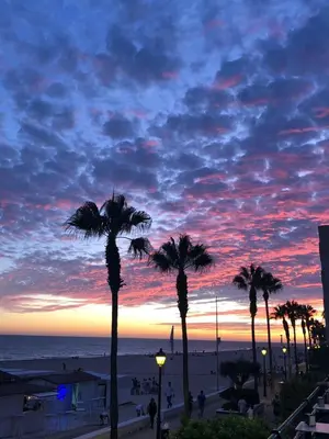 a group of palm trees in front of a sunset at Una ventana al mar in Rota