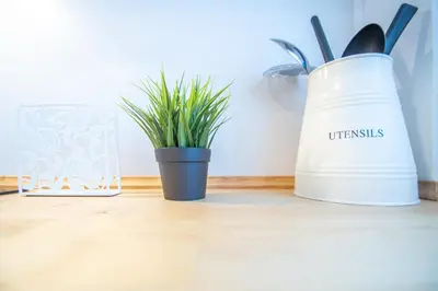 a plant in a black pot sitting on a floor at Apartamento Albatro´s suite in Cádiz