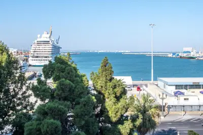 a cruise ship is docked in a harbor with trees at Apartamento Albatro´s suite in Cádiz