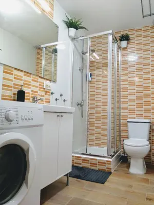 a bathroom with a shower and a toilet and a sink at Los Patios de la Caleta in Cádiz