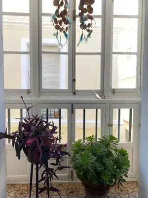 two potted plants sitting in front of a window at Charito 18 in Cádiz