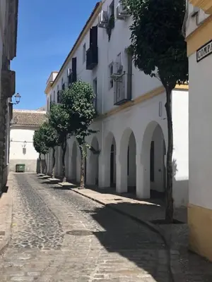 an empty street with trees in front of a building at El Rincon de Elena (Garden Apartment) in Jerez de la Frontera