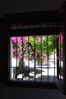 a window with a view of a tree with pink flowers at El Rincon de Elena (Garden Apartment) in Jerez de la Frontera