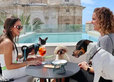 two women and two dogs sitting at a table with drinks at Boutique Hotel OLOM - Only Adults recommended in Cádiz