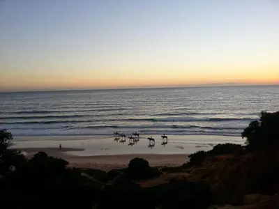 a group of people riding horses on the beach at Luminoso apartamento en playa las redes, entorno natural pinares y dunas. Wifi in El Puerto de Santa María