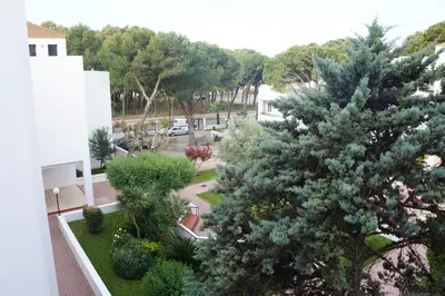 a view of a tree from the balcony of a building at Luminoso apartamento en playa las redes, entorno natural pinares y dunas. Wifi in El Puerto de Santa María