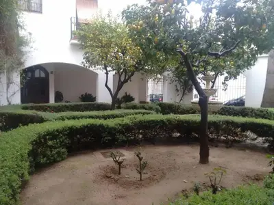 a garden with an orange tree in front of a building at Charming apartment in El Puerto de Santa María with terrace in El Puerto de Santa María