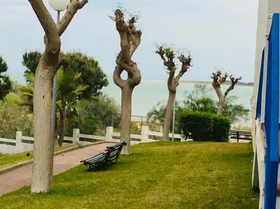 a park with trees and a bench next to a fence at Castillo del Espiritu Santo (La Jara) in Sanlúcar de Barrameda