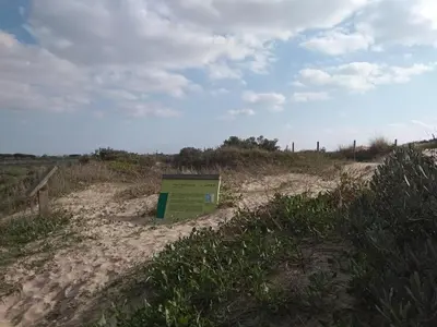 a green box sitting on the side of a beach at TU DENSCANSO EN VALDELAGRANA FRENTE AL MAR in El Puerto de Santa María