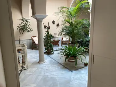 a hallway with potted plants in a building at Santo Domingo - Centro in Sanlúcar de Barrameda