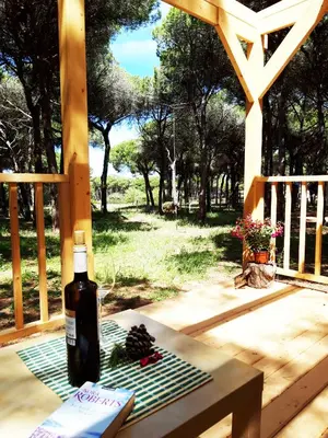a bottle of wine sitting on a table on a deck at The PineForest Cabin in Chiclana de la Frontera