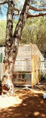 a building next to a tree next to a house at The PineForest Cabin in Chiclana de la Frontera