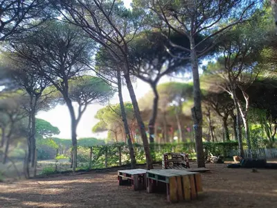a park with benches and trees in the dirt at The PineForest Cabin in Chiclana de la Frontera
