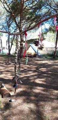 a group ofaments hanging from a tree in a park at The PineForest Cabin in Chiclana de la Frontera