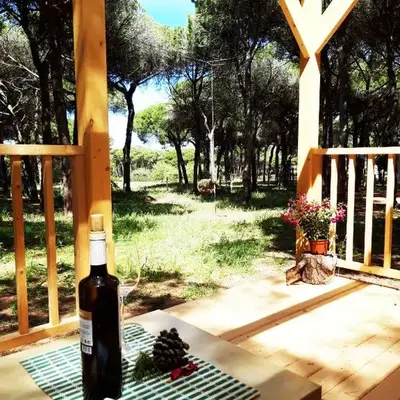 The PineForest Cabin