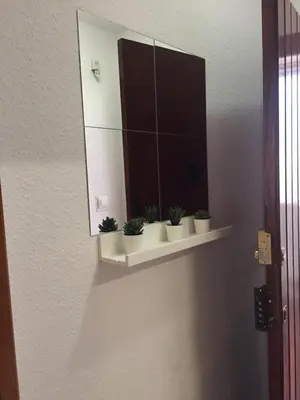 a mirror on a wall with potted plants on a shelf at PISO 1ª LINEA SANLUCAR DE BARRAMEDA in Sanlúcar de Barrameda