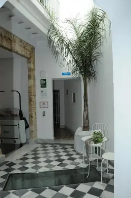 a room with a palm tree and a table and chairs at Santa María 12 Boutique Apartamentos in Cádiz
