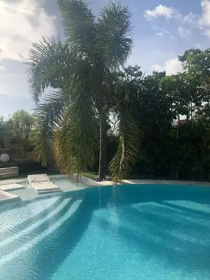 a palm tree and a swimming pool with a palm tree at Villa Campito in El Puerto de Santa María