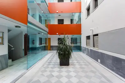 a potted plant sitting in the middle of a building at Puerta San FELIX free parking by Cadiz4Rentals in Cádiz