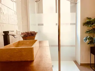 a bathroom with a stone sink and a plant at Feel the Sherry experience1 by Musgo in Jerez de la Frontera