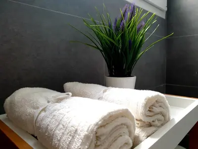 a bathroom with towels on a sink with a plant at Sherryflat Palacio - Parking in Jerez de la Frontera