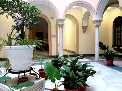 a room with a bunch of plants in a building at Sherryflat Palacio - Parking in Jerez de la Frontera