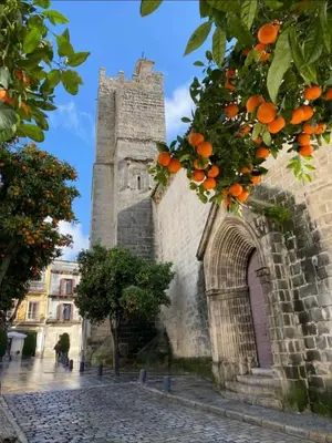 an old building with an orange tree in front of it at Sherryflat Palacio - Parking in Jerez de la Frontera