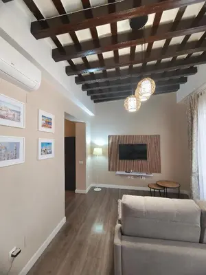 a living room with a couch and a tv at La Viña (centro histórico) in Cádiz