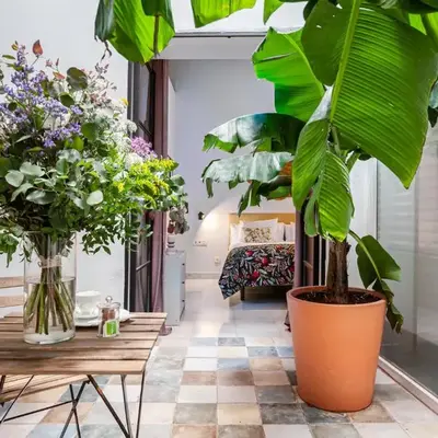 Art Suites by Casa de Indias