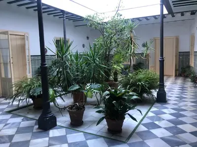 a room filled with potted plants on a checkered floor at Twins' Home Chancillería, Jerez Centro, Cádiz, wifi in Jerez de la Frontera