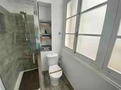 a bathroom with a toilet and a shower and a window at Anticuario en el Teatro Falla in Cádiz