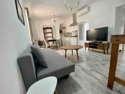 a living room with a couch and a flat screen tv at Anticuario en el Teatro Falla in Cádiz