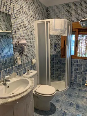 a bathroom with a toilet and a sink and a shower at NOVO Apartahotel & Restaurante in Las Cabezas de San Juan
