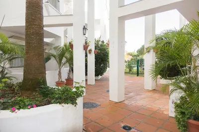 a courtyard of a house with palm trees and plants at Apartamento Alextia La Barrosa in Chiclana de la Frontera