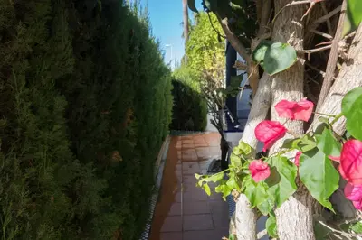 a garden with pink flowers on a tree at Apartamento Alextia La Barrosa in Chiclana de la Frontera