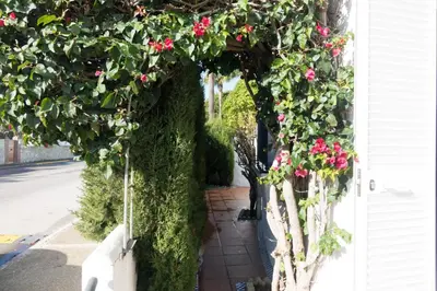 a garden with pink flowers on the side of a house at Apartamento Alextia La Barrosa in Chiclana de la Frontera