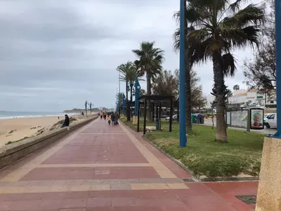 a sidewalk next to a beach with palm trees at Relax y playa en la Barrosa in Chiclana de la Frontera