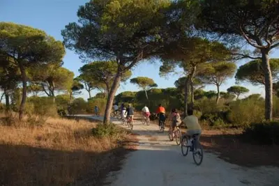 a group of people riding bikes down a dirt road at Almijar 9 in Sanlúcar de Barrameda