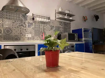 a potted plant sitting on a wooden table in a kitchen at La Herrería de Sagasta in Cádiz