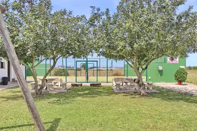 a park with trees and benches in front of a building at Chalet de la casa Forestal in Conil de la Frontera