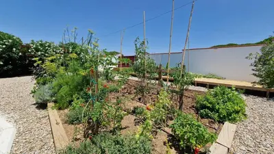 a garden with many plants in the dirt at Sunny villa with private pool in Chiclana de la Frontera in Chiclana de la Frontera